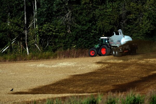 A French farmer spreads manure before sowing, on july 28, 2020, near Loue, northwestern France. - In the sarthe, farmers who cannot irrigate will start silageing fodder corn next week. (Photo by Jean-Francois MONIER / AFP)