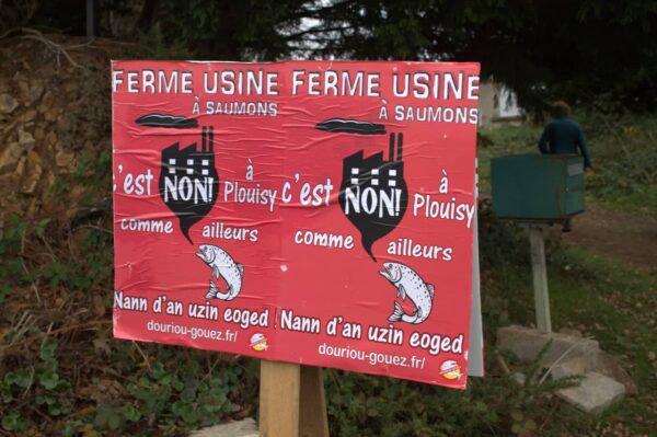 Usine de saumons à Plouisy : RAS pour Guingamp Paimpol agglomération