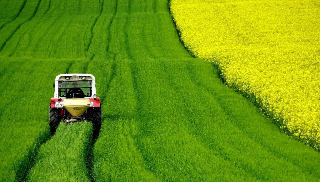 220703 - Splann ! Tracteur dans un champ de colza Crédits Wurliburli de Pixabay~1
