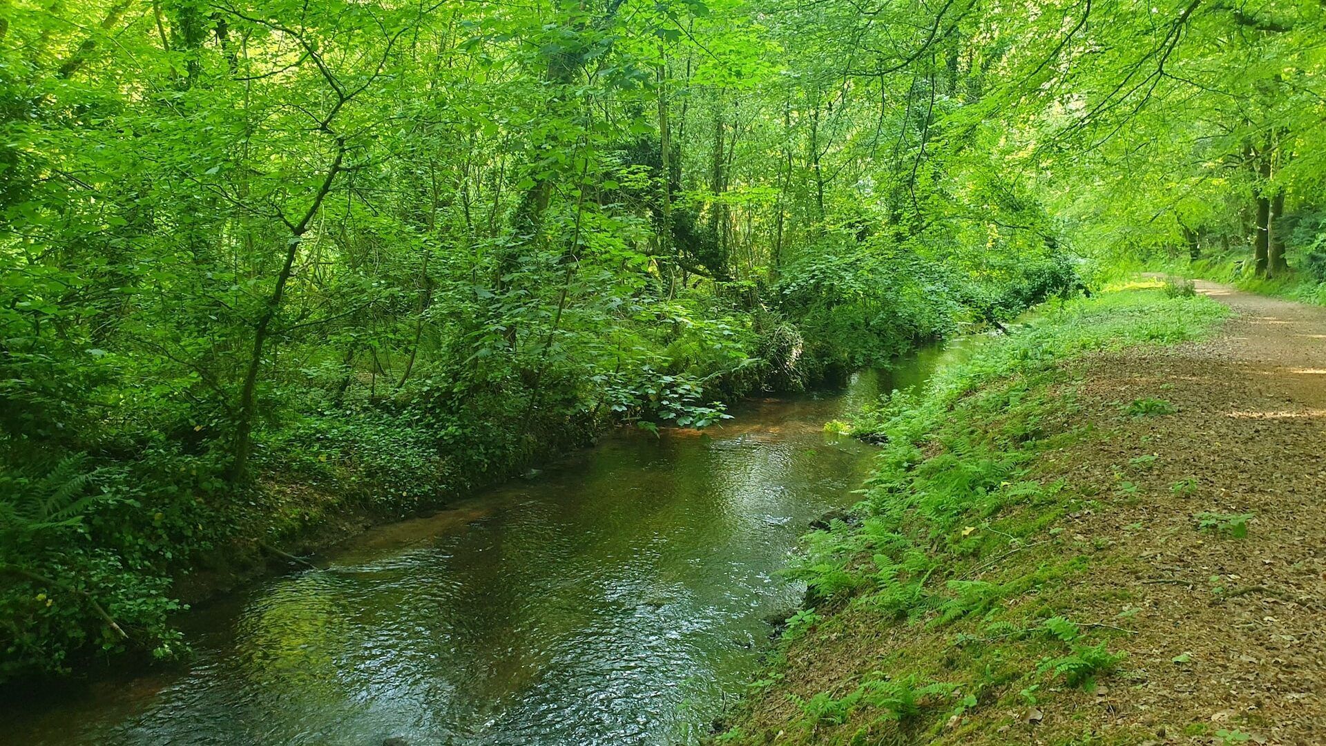L'Argens est un affluent de l'Horn, rivière qui traverse la commune de Plouvorn et longe de nombreuses terres d'épandage. Crédits : Kristen Falc'hon