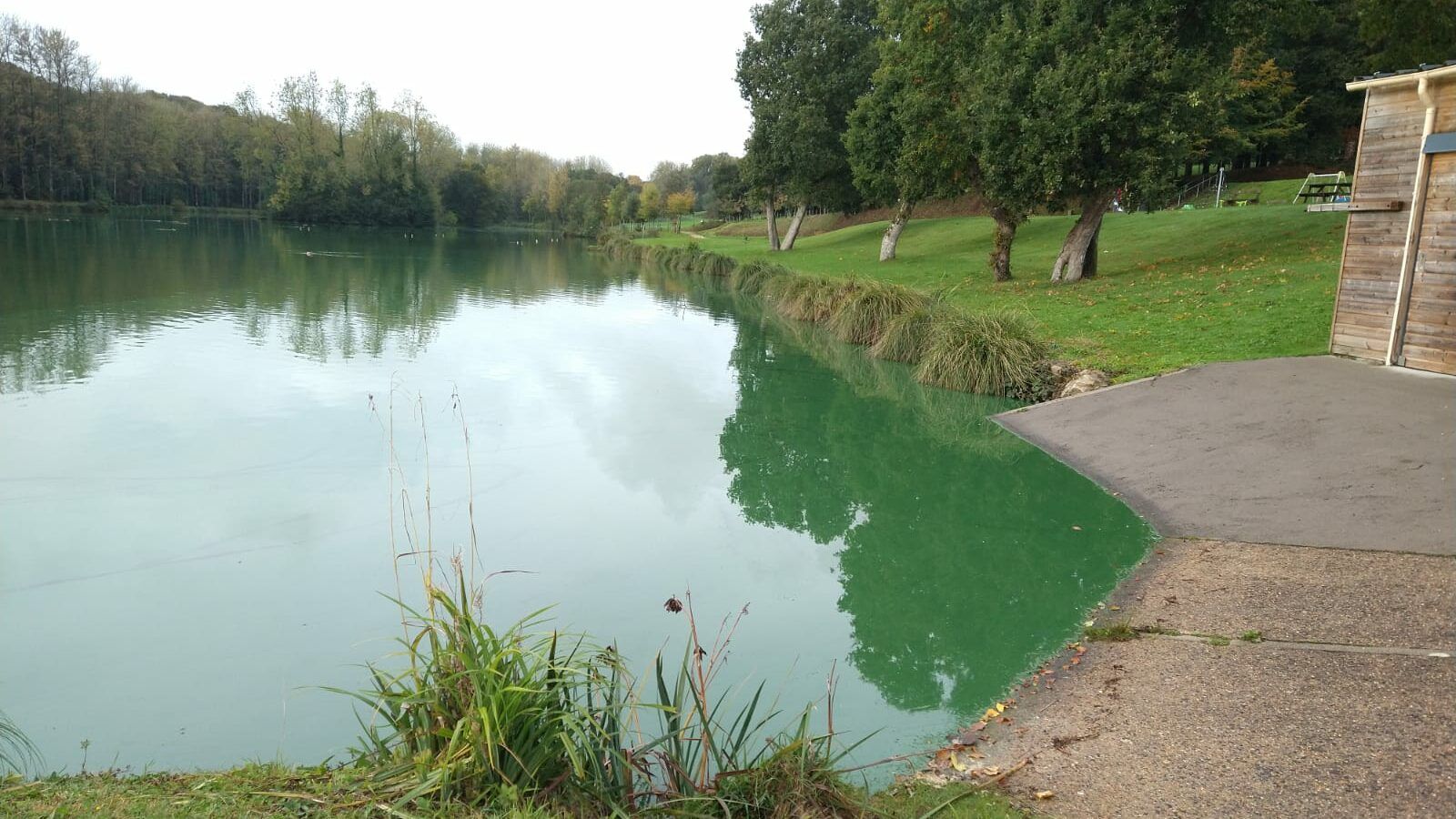 Les cyanobactéries donnent une couleur verte à l'eau. Crédits : Kristen Falc'hon