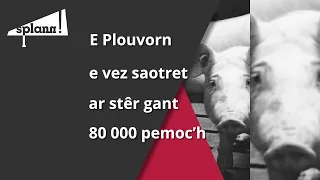 Prévisualisation de E Plouvorn e vez saotret ar stêr gant 80.000 pemoc’h