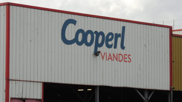 231116 Splann ! Enquête Cooperl Volet 1d