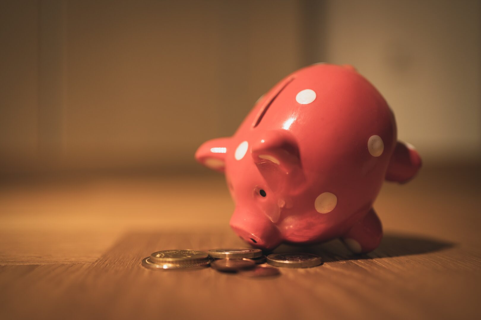 201213 Splann ! Tirelire Cochons Crédits Andre Taissin Licence Unsplash