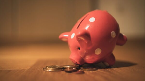 201213 Splann ! Tirelire Cochons Crédits Andre Taissin Licence Unsplash
