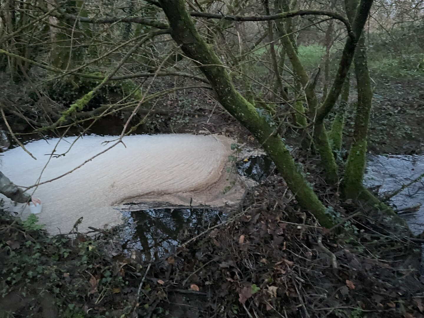Par crainte des débordements de fosses à lisier, les épandages ont été avancés cet hiver en Bretagne