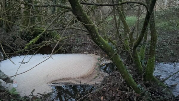De l'écume se forme dans une rivière du Centre Bretagne, signe d'une pollution au lisier. Crédits Morgan Large