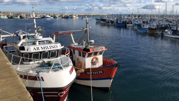 [Doc exclusif] Dans sa feuille de route pour la pêche, la région Bretagne « oublie » les petits bateaux côtiers