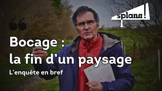 Prévisualisation de Bocage breton : la fin d’un paysage, l’enquête en bref