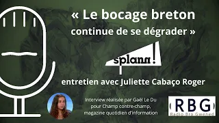 Prévisualisation de Trois ans de « Splann ! », enquête sur les haies en Bretagne… Juliette Cabaço Roger invitée de RBG