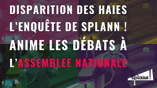 Prévisualisation de Quand l’enquête de « Splann ! » sur le bocage anime les débats à l’Assemblée nationale (24 mai 2024)