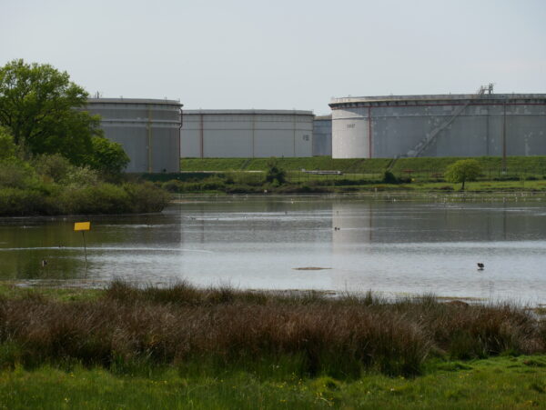 [Keloù « Splann ! »] Beradur e purerezh Donez, an danevell kuzhet gant TotalEnergies