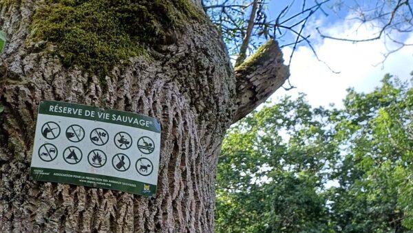 Acheter des terres pour en faire des réserves de vie sauvage, l’Aspas et Wild Bretagne passent à l’acte