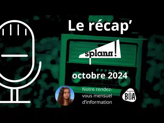 Prévisualisation de Ils veulent réensauvager la Bretagne | Le récap’ d’octobre 2024