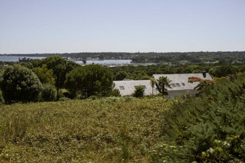 À la Foret-Fouesnant (29), la parcelle en friche sur le centre et la gauche de l'image est une "dent creuse" dans un lotissement, c'est-à-dire une parcelle non construite au milieu d'autres parcelles construite. Crédit : Vassili Feodoroff.