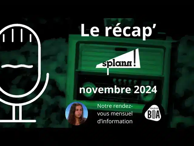 Prévisualisation de Laitik, un lait breton pas si éthique ? | Le récap’ de novembre 2024