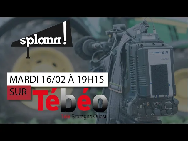 Splann ! dans L’Instant T / Tébéo – 16/02/2021