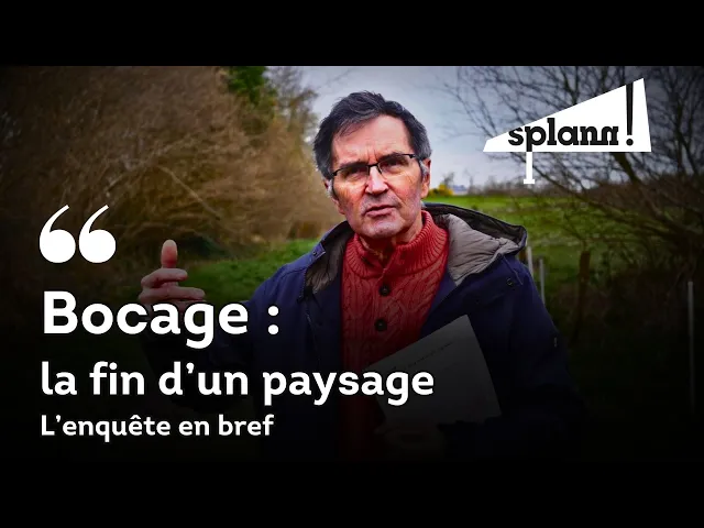 Bocage breton : la fin d’un paysage, l’enquête en bref