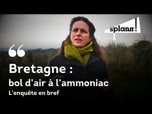 Bretagne : bol d’air à l’ammoniac , l’enquête en bref