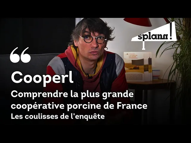 Cooperl : comment nous avons enquêté sur la plus grande coopérative française du porc