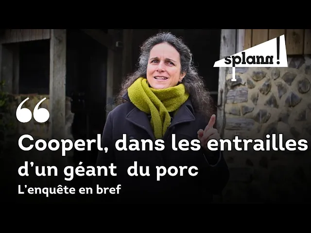 Cooperl : dans les entrailles d’un géant du porc, l’enquête en bref