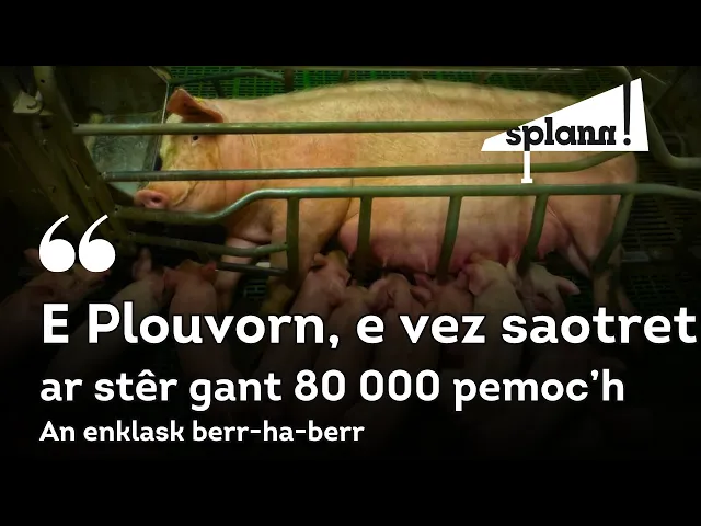 E Plouvorn e vez saotret ar stêr gant 80.000 pemoc’h