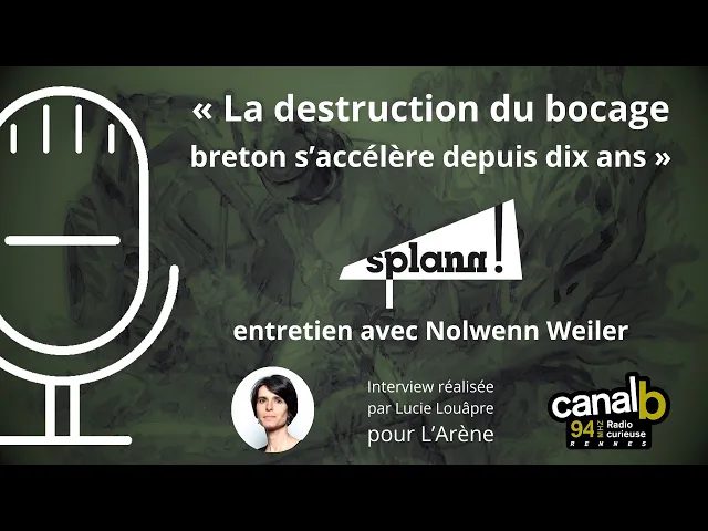 Nolwenn Weiler présente l’enquête « bocage, la fin d’un paysage » sur Canal B