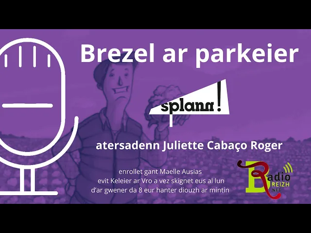 Kinnig a ra Juliette Cabaç Roger hon enklask diwarbenn an douaroù labour war Radio Breizh