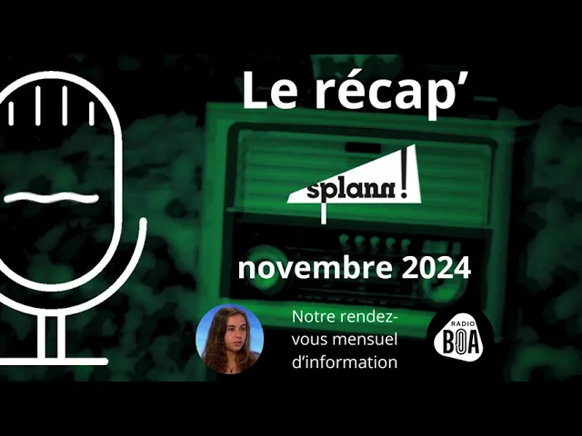 Laitik, un lait breton pas si éthique ? | Le récap’ de novembre 2024