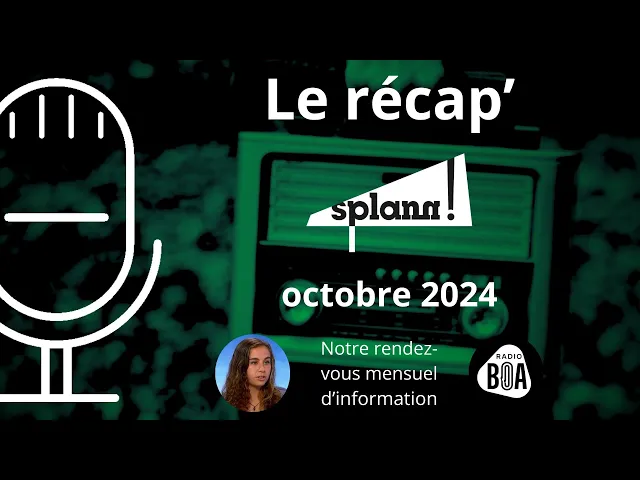 Ils veulent réensauvager la Bretagne | Le récap’ d’octobre 2024