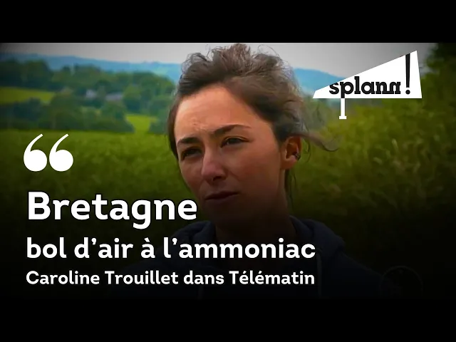 Caroline Trouillet présente l’enquête de « Splann ! » sur l’ammoniac dans Télématin