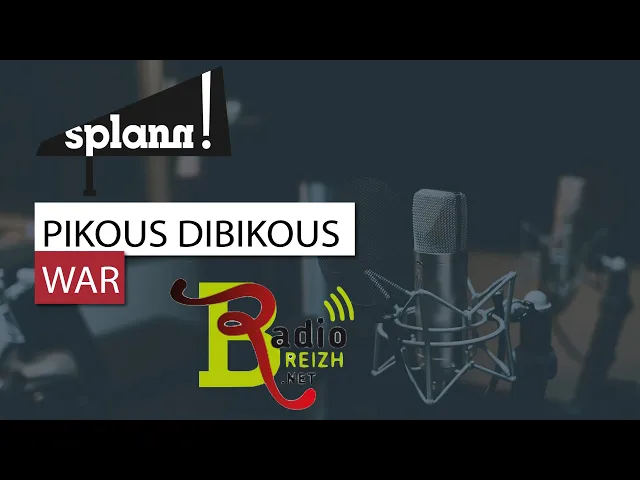 Splann !, Lansañ enklaskoù e Breizh, Gwenvaël Delanoë / Radio Breizh – 17/02/2021