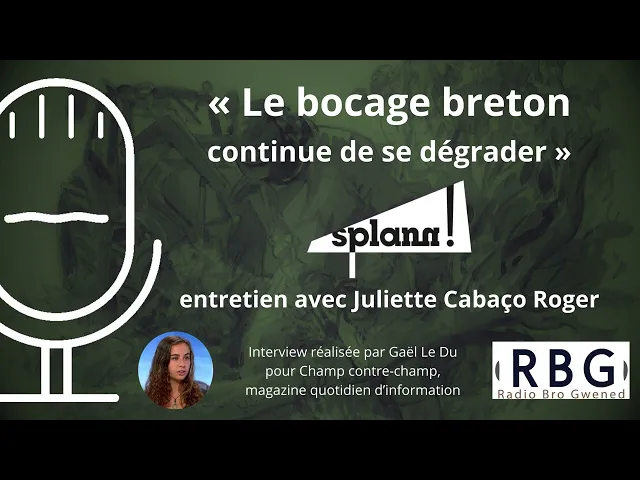 Trois ans de « Splann ! », enquête sur les haies en Bretagne… Juliette Cabaço Roger invitée de RBG