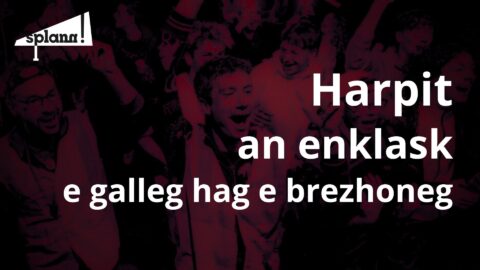 Ur media divyezhek eo « Splann ! »