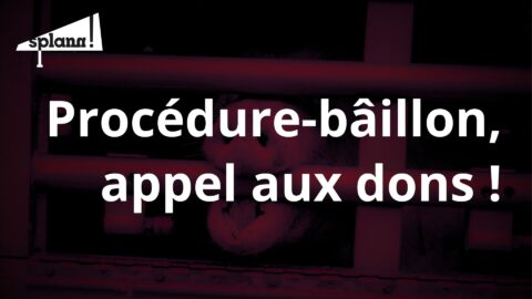 Un poids lourd du lobby porcin attaque « Splann ! » en justice : soutenez-nous !