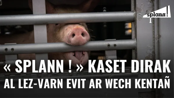 "Splann !" kazet dirak al lez-varn evit ar wech kantan