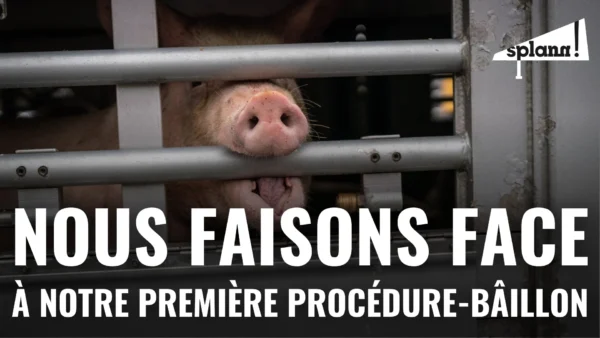 Nous lançons une cagnotte pour faire face à notre première procédure-bâillon