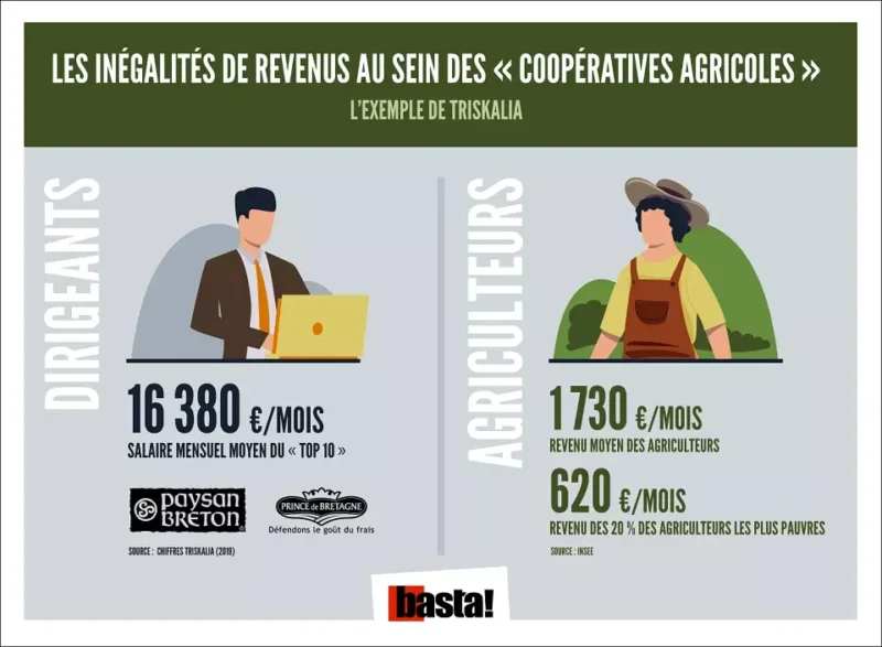240124 Basta Infographie Inégalités De Salaires Dans Les Coopératives Agricoles