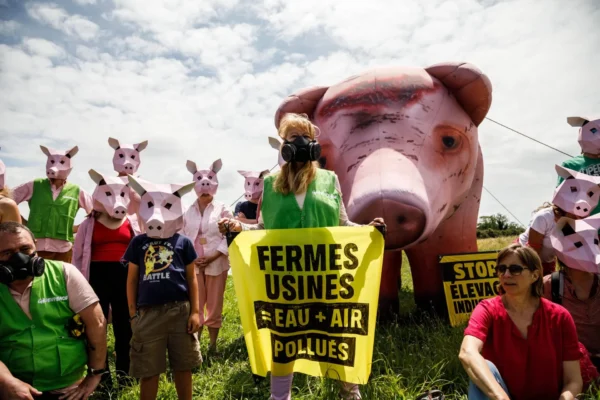 Porcherie Avel vor à Landunvez : l&rsquo;ancien correspondant local du « Télégramme » témoigne contre des opposants à l’extension