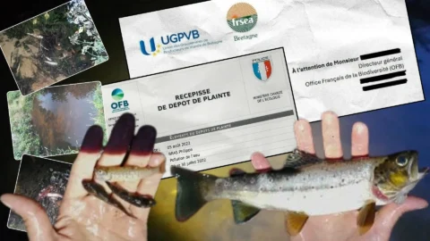 251215 Alerte UGPVB Et FRSEA Vs OFB Bretagne (1920x1080)