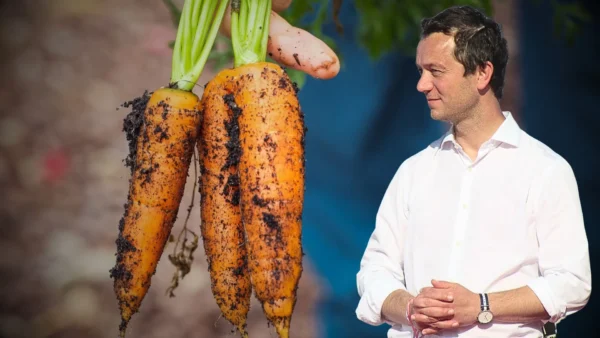 251117 Actualités RSA Finistère Paysans Sans Texte (1920x1080)