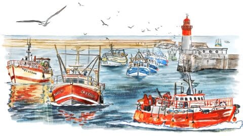 Vers la fin de la pêche au chalut ? Crédit Damien Roudeau pour « Splann ! »