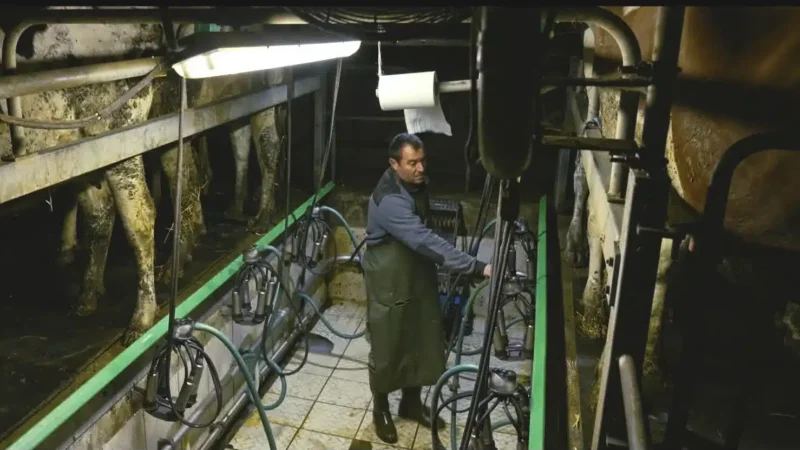 La force de Violence dans les champs tient dans ces agriculteurs qui ont accepté de témoigner à visage découvert. Crédit : Vivement lundi !