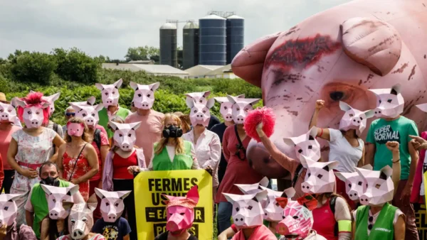 230611 Manifestation Porcherie Avel Vor Landunvez Fermes Usines Crédit Marie Sébire Greenpeace