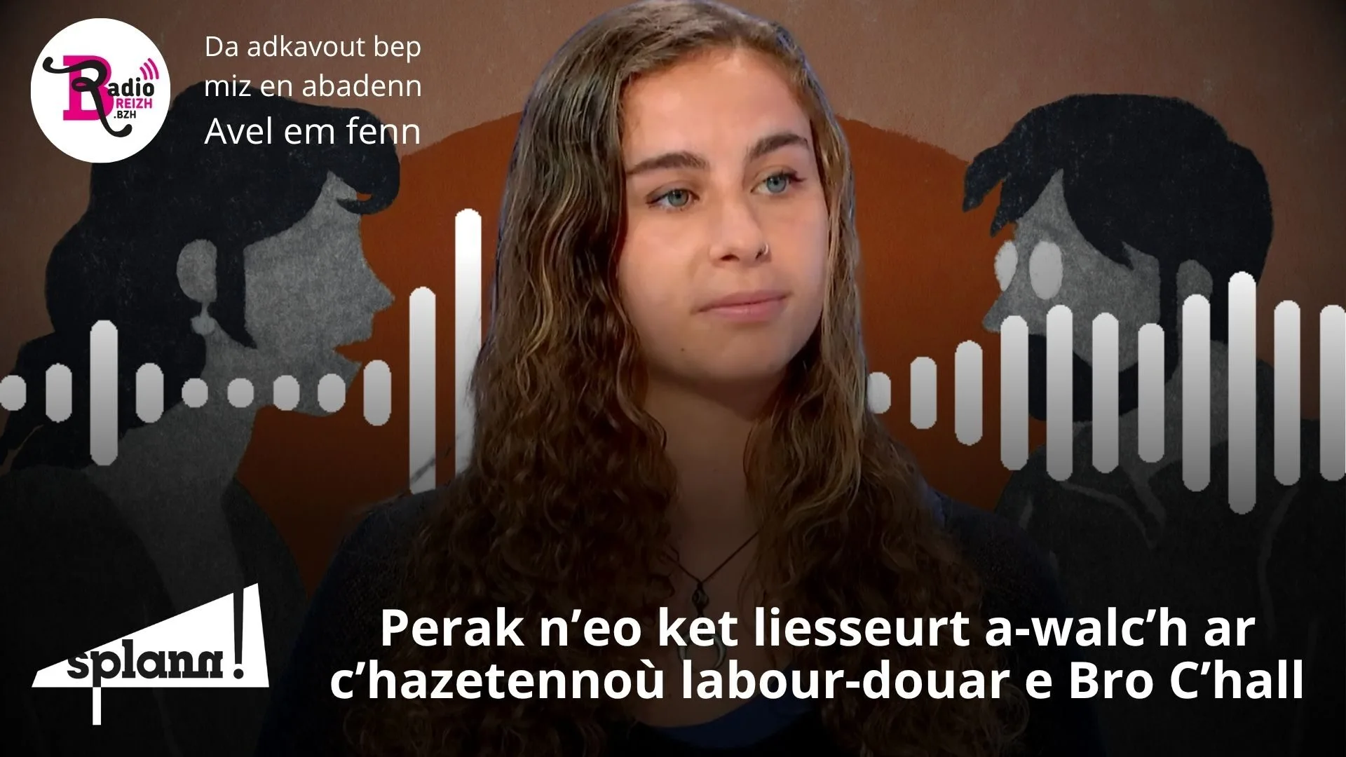 Lizher-kelaouiñ : liesseurt a-walc’h eo ar mediaoù gouestlet dal labour-douar ? #11
