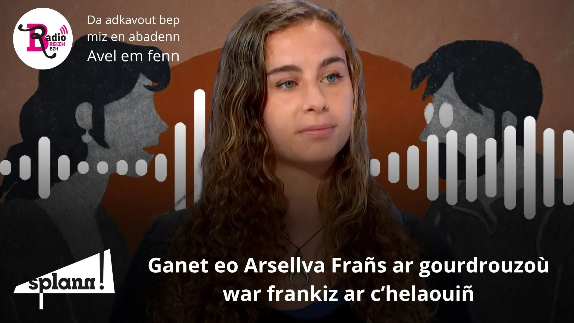 Lizher-kelaouiñ : mirout ar frankiz da gelaouiñ