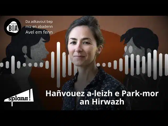 Lizher-kelaouiñ : Hañvouez a-leizh e Park-mor an Hirwazh #29
