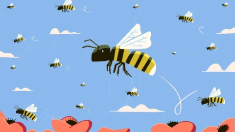260710 Actualité Campagne Dons Pesticides Bretagne Abeilles Image Une (1920x1080)
