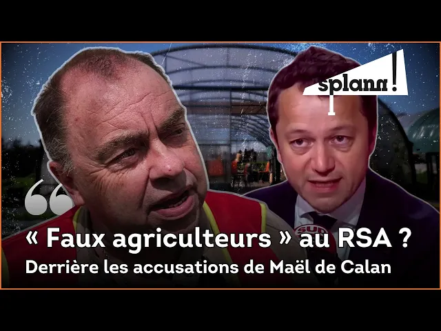 « De faux agriculteurs avec un demi hectare de poireaux, une poule, deux canards et le RSA » ?