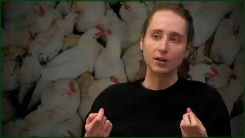 260930 - Actualité Le Grand entretien Axelle Playoust-Braure turbo-poulet Image à la une droite (1920x1080)